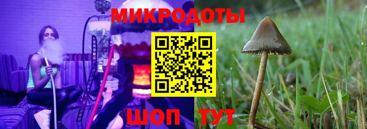 Псилоцибиновые грибы прущие грибы Нарткала